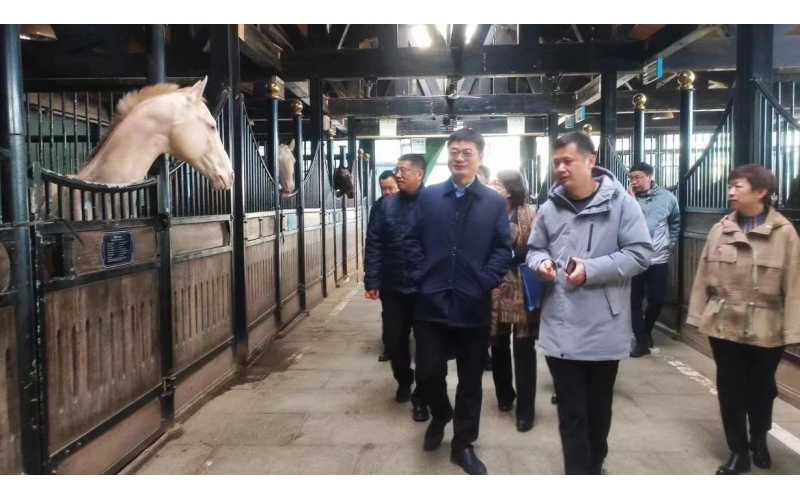 高雷副廳長在野馬集團調(diào)研時表示，要通過科技助力，精準解決“卡脖子”問題